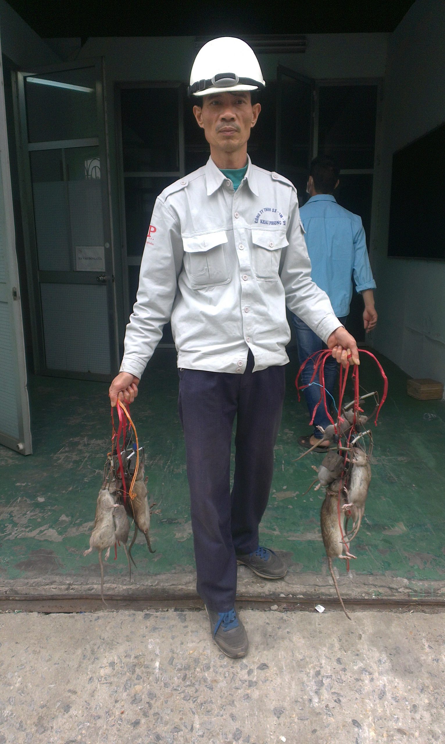 Diệt chuột tại các KCN ở Hải Dương